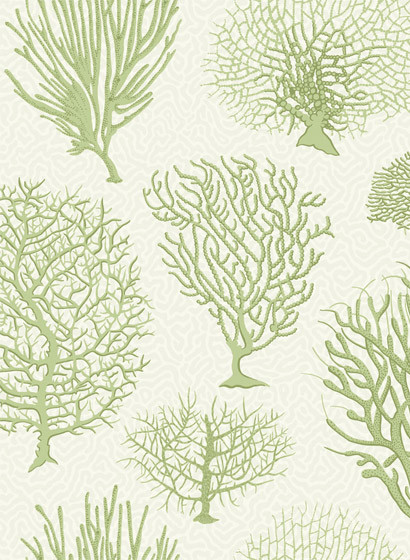 Cole & Son Papier peint Seafern - Soft Green-2507.4 Cole & Son Papier peint Seafern - Soft Green-2507.4