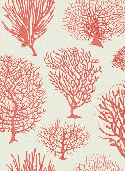 Cole & Son Papier peint Seafern - Coral-2507.6 Cole & Son Papier peint Seafern - Coral-2507.6