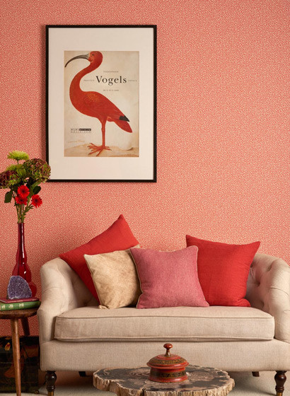 Cole & Son Wallpaper Vermicelli-2509 Cole & Son Wallpaper Vermicelli-2509