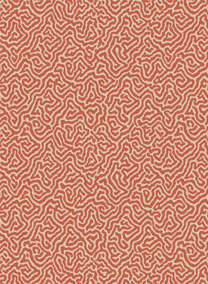 Cole & Son Wallpaper Vermicelli-2509 Cole & Son Wallpaper Vermicelli-2509