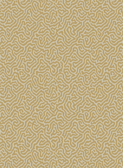 Cole & Son Tapete Vermicelli - Buff & Gold-2509.5 Cole & Son Tapete Vermicelli - Buff & Gold-2509.5