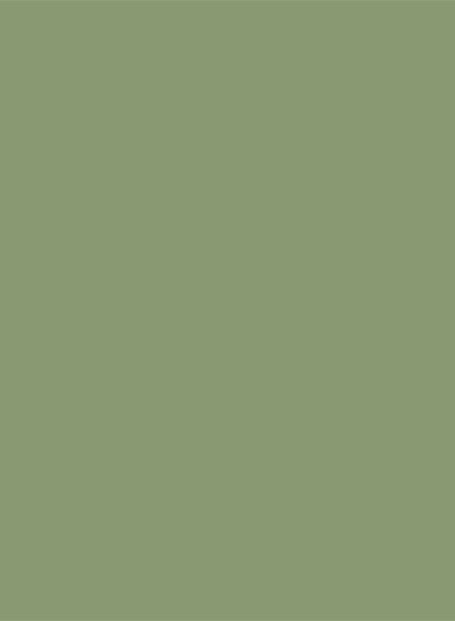 Farrow & Ball Dead Flat - 2,5l - Yeabridge Green 287-FB-DF-0287-M Farrow & Ball Dead Flat - 2,5l - Yeabridge Green 287-FB-DF-0287-M