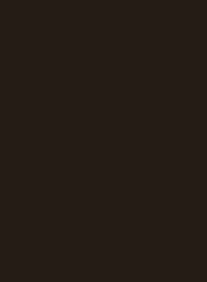 Little Greene Absolute Matt Emulsion - 2,5l - Chocolate Colour 124-LGAME.124.M Little Greene Absolute Matt Emulsion - 2,5l - Chocolate Colour 124-LGAME.124.M