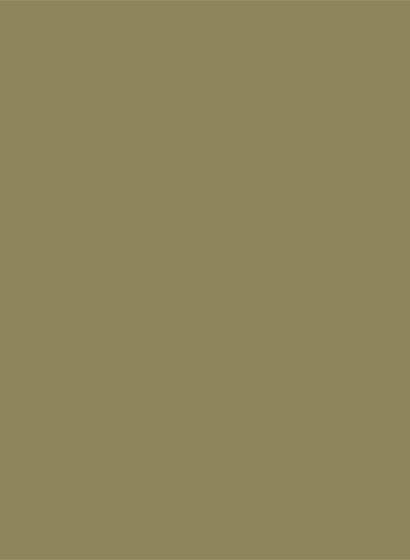 Sanderson Active Emulsion - 2,5l - Oxney Olive-SAE.OO.M Sanderson Active Emulsion - 2,5l - Oxney Olive-SAE.OO.M