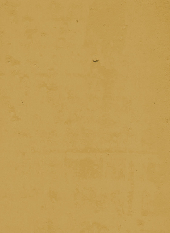 Terrastone original - Probeset - 91 - Vanillegelb-ts-1/100.91.m Terrastone original - Probeset - 91 - Vanillegelb-ts-1/100.91.m