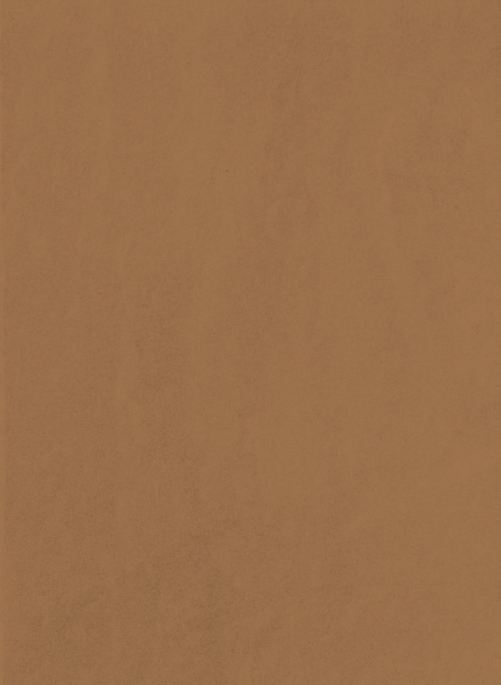 Terrastone Original fein - sachet échantillon - Lehm Dark - 70-tsf-1/100.KW7.m