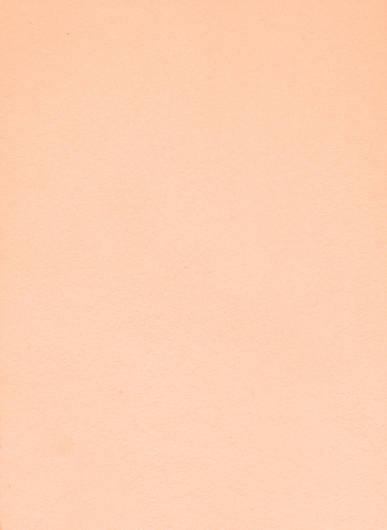 Terrastone original fein - Musterkarte - 72 - Grasse-tsfmk.72 Terrastone original fein - Musterkarte - 72 - Grasse-tsfmk.72