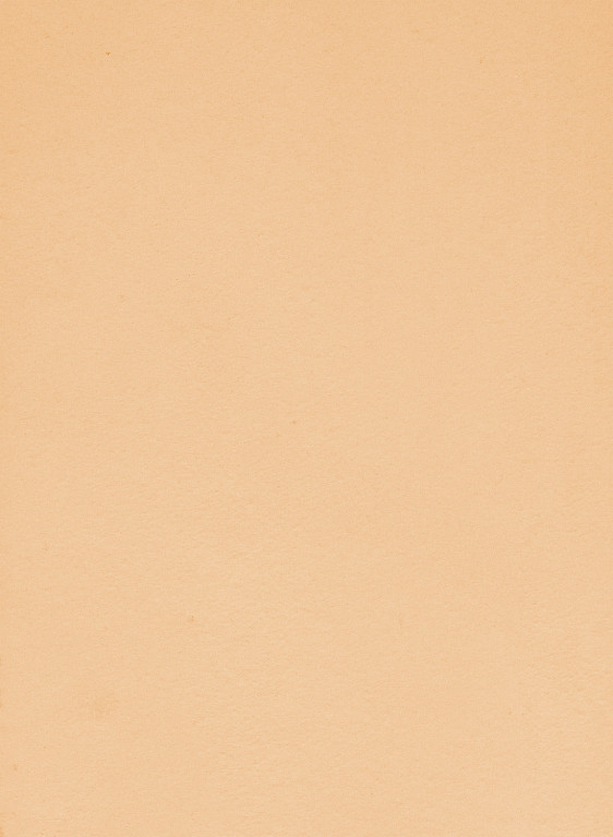 Terrastone original fein - Musterkarte - 73 - Samarkand-tsfmk.73 Terrastone original fein - Musterkarte - 73 - Samarkand-tsfmk.73