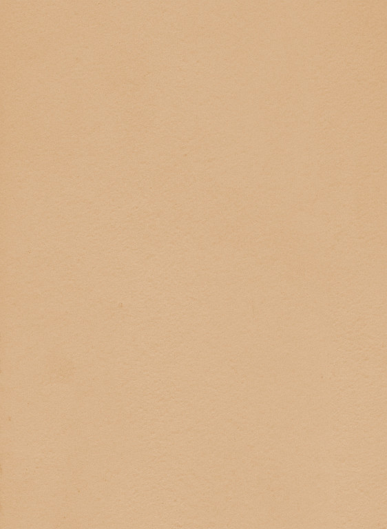 Terrastone original fein - Musterkarte - 74 - Desert-tsfmk.74 Terrastone original fein - Musterkarte - 74 - Desert-tsfmk.74