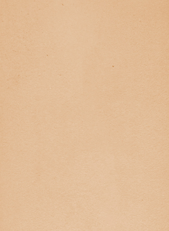 Terrastone original fein - Probeset - 75 - Latte Macchiato-tsf-1/100.75.m Terrastone original fein - Probeset - 75 - Latte Macchiato-tsf-1/100.75.m