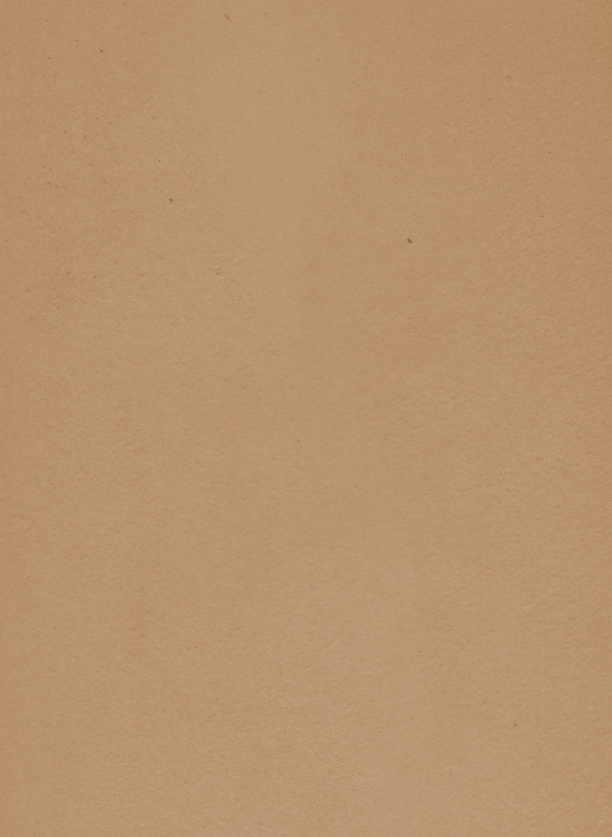 Terrastone original fein - Musterkarte - 76 - Cappuccino-tsfmk.76 Terrastone original fein - Musterkarte - 76 - Cappuccino-tsfmk.76