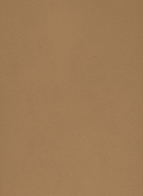 Terrastone original fein - Musterkarte - 77 - Earth-tsfmk.77 Terrastone original fein - Musterkarte - 77 - Earth-tsfmk.77