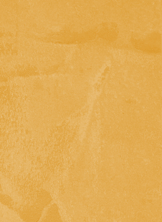 Terrastone original fein - Musterkarte - 91 - Vanillegelb-tsfmk.91 Terrastone original fein - Musterkarte - 91 - Vanillegelb-tsfmk.91