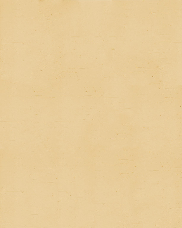 Terrastone rustique - Probeset - 73 - Samarkand-tsr-1/100.73.m