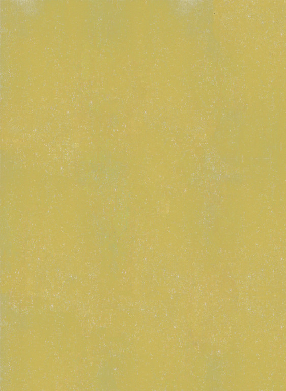 Terrastone rustique - Probeset - 89 - Spring Green-tsr-1/100.89.m Terrastone rustique - Probeset - 89 - Spring Green-tsr-1/100.89.m