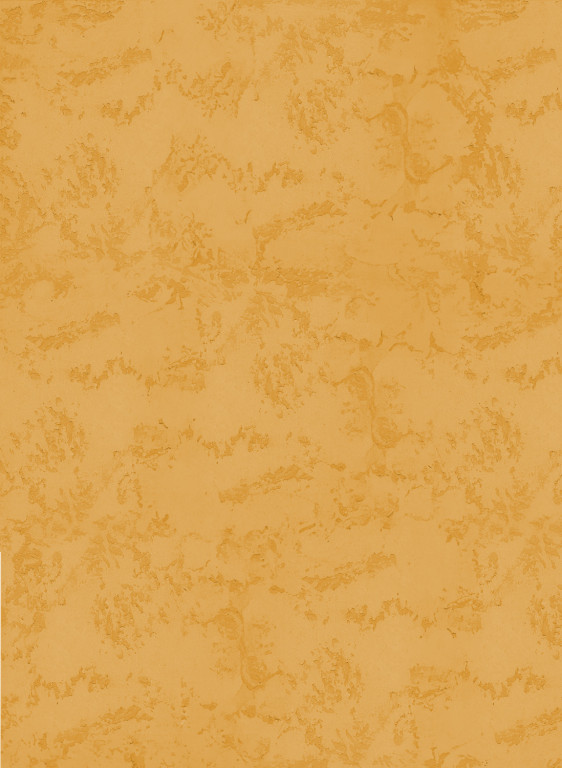 Terrastone rustique - Probeset - 90 - Sunny Sunset-tsr-1/100.90.m