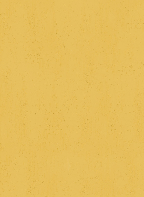 Terrastone rustique - Probeset - 91 - Vanillegelb-tsr-1/100.91.m Terrastone rustique - Probeset - 91 - Vanillegelb-tsr-1/100.91.m