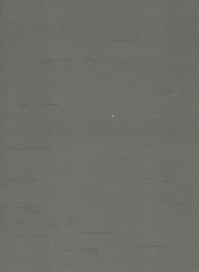 Terrastone rustique - Probeset - 51 - Beton dark-tsr-1/100.KB2.m Terrastone rustique - Probeset - 51 - Beton dark-tsr-1/100.KB2.m