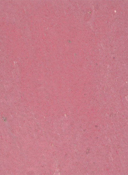terrastone original - Probeset - himbeer-ts-1/100.26.m terrastone original - Probeset - himbeer-ts-1/100.26.m