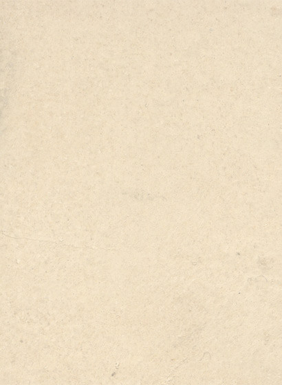 terrastone original fein - Musterkarte - champagner sienna-tsfmk.20 terrastone original fein - Musterkarte - champagner sienna-tsfmk.20