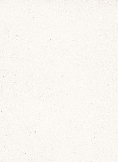 Terrastone original fein - Musterkarte - 36 - bianco di carrara-tsfmk.36 Terrastone original fein - Musterkarte - 36 - bianco di carrara-tsfmk.36