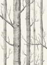 Woods - Designtapete von Cole and Son - Offwhite/ Schwarz