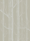Woods - Designtapete von Cole and Son - Taupe/ Weiß