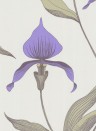 Orchid - Designtapete von Cole and Son - Grün/ Lila