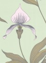 Orchid - Designtapete von Cole and Son - Mint/ Hellrosa