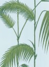 Palm Leaves - Designtapete von Cole and Son - Hellblau/ Grün