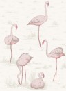 Flamingos - Designtapete von Cole and Son - Pink