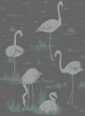 Flamingos - Designtapete von Cole and Son - Black