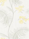 Mimosa - Designtapete von Cole and Son - Creme/ Grau/ Gelb