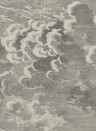 Tapete Nuvolette von Cole and Son - Gilver & Charcoal