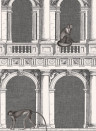 Cole & Son Wallpaper Procuratie e Scimmie Black and White