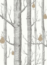 Woods & Pears - Designtapete von Cole and Son - Black/ White