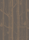 Woods & Pears - Designtapete von Cole and Son - Copper