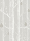 Woods & Pears - Designtapete von Cole and Son - Grey/ White