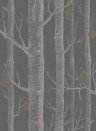 Woods & Pears - Designtapete von Cole and Son - Charcoal