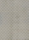 Armani Casa Wallpaper Himalaya Rafia - 9333