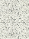 Clarke & Clarke Wallpaper Acanthus - Slate