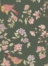 Little Greene Carta da parati Aderyn - Olive Colour