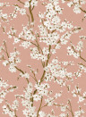 Coordonne Papier peint Cherry Blossom - Rose
