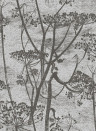 Cole & Son Wallpaper Cow Parsley Gilver on Black
