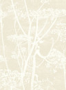 Cole & Son Wallpaper Cow Parsley Linen on White