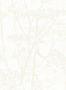 Cole & Son Wallpaper Cow Parsley White on White