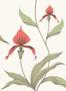 Cole & Son Wallpaper Orchid - Red on White