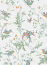 Cole & Son Papier peint Hummingbirds - Pastel