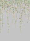 Cole & Son Tapete Hummingbirds Flora - Rose/ Olive on Grey