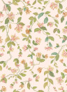 Cole & Son Tapete Flora - Tangerine/ Olive on Blush